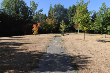 Gravel trail leading to the Learning Center – grass area with deciduous trees